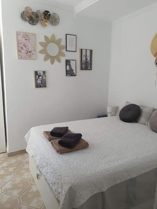 Costa Blanca Family Apartments One Bedroom Apartment 托雷维耶哈 外观 照片